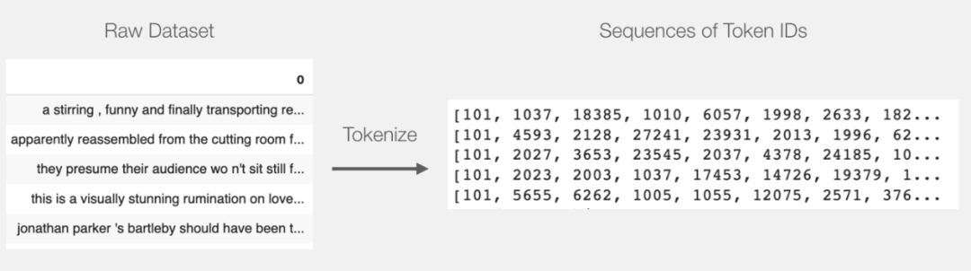 Step-By-Step Guide to Sentence Classification Using BERT