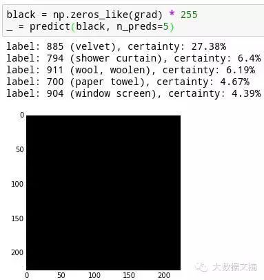 How to Deceive Neural Networks to Recognize Pandas as Vultures