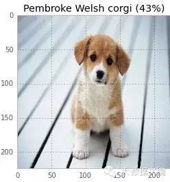 How to Deceive Neural Networks to Recognize Pandas as Vultures