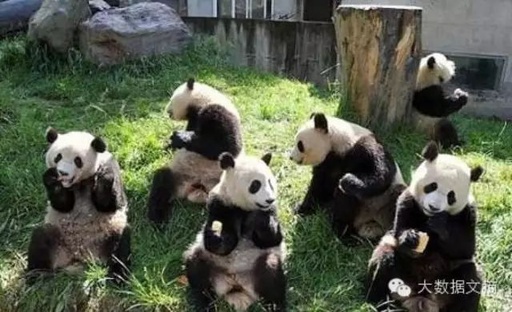 How to Deceive Neural Networks to Recognize Pandas as Vultures