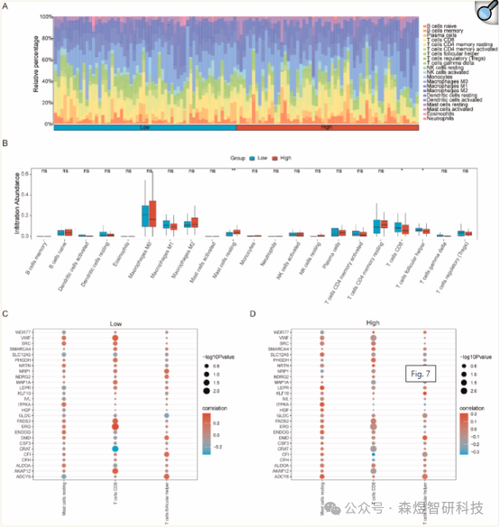 Comprehensive Analysis of OSCSRDEGs in TNBC