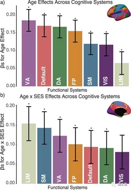 Cerebral Cortex: The Relationship Between Brain Development and Environment