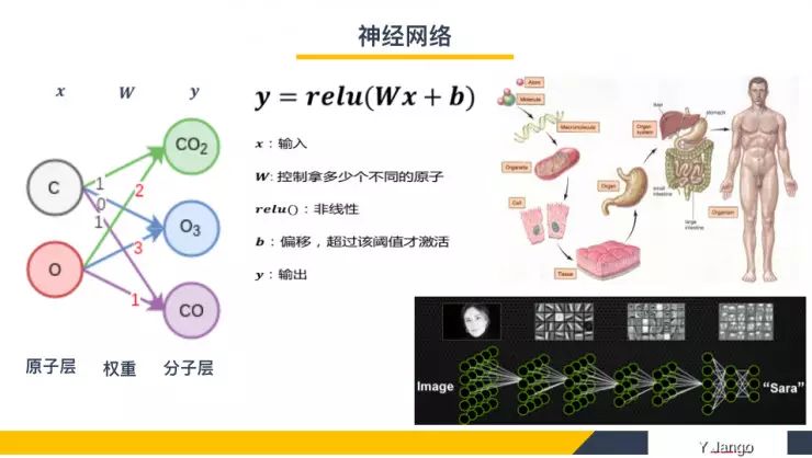 Understanding Deep Neural Network Design Principles