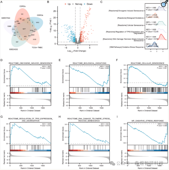 Comprehensive Analysis of OSCSRDEGs in TNBC