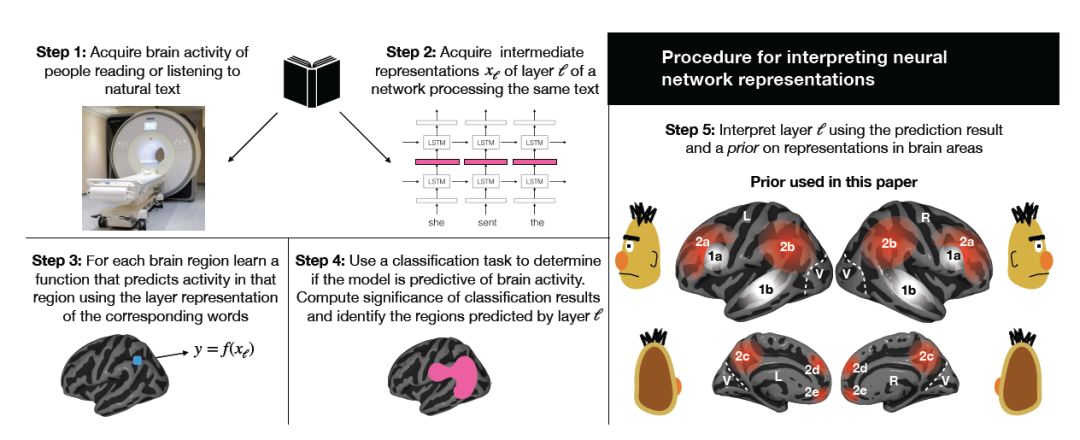 Can NLP Work Like the Human Brain? Insights from CMU and MIT