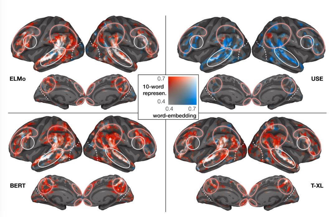 Can NLP Work Like the Human Brain? Insights from CMU and MIT