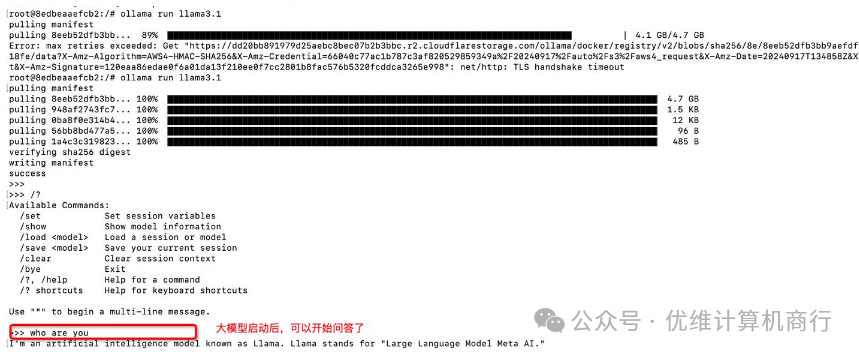 Local Deployment of Ollama for Offline AI Model Usage