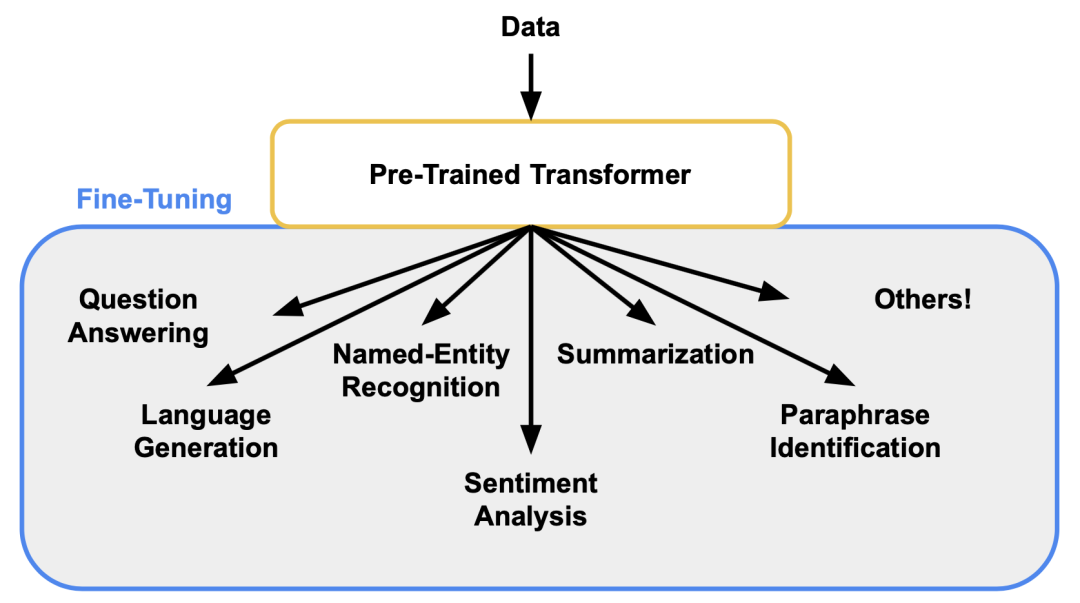 Understanding Fine-Tuning of Neural Network Models