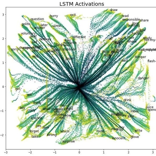 Visualizing LSTM Networks: Exploring Memory Formation