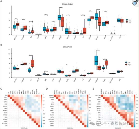 Comprehensive Analysis of OSCSRDEGs in TNBC