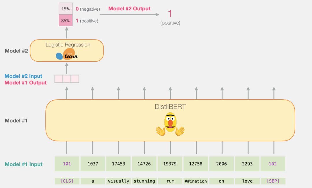 BERT Model: A Quick Start Guide