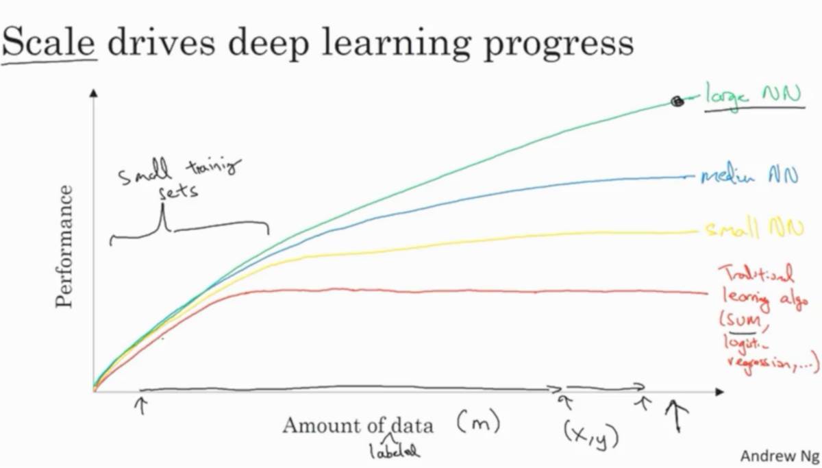 Introduction | Insights from All Courses by Andrew Ng on Deeplearning.ai