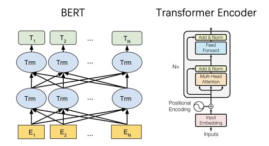 Understanding Deep Learning: From Neurons to BERT