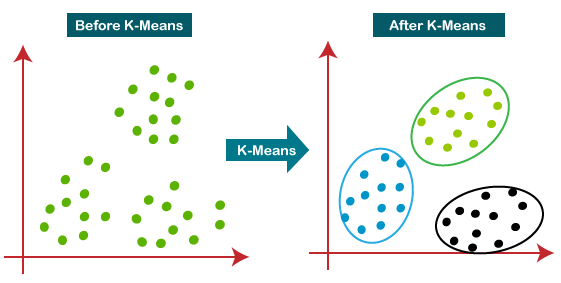 Understanding Machine Learning Algorithms