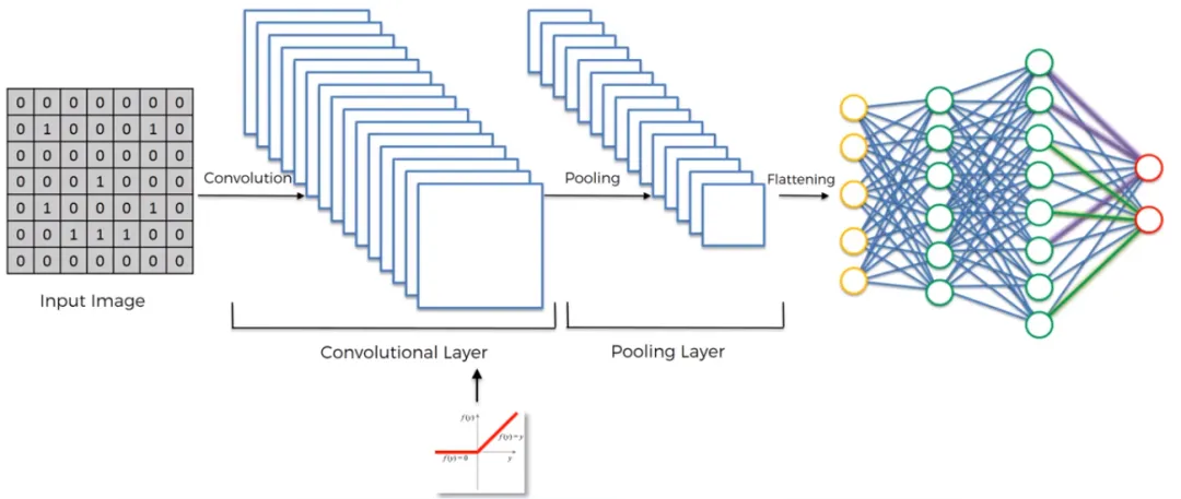 Understanding U-Net: A Comprehensive Guide to Image Segmentation