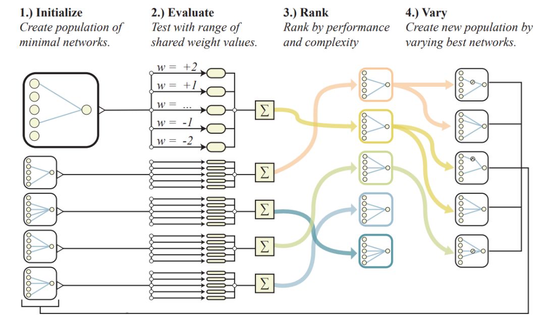 Weight Agnostic Neural Networks: A Revolutionary Approach