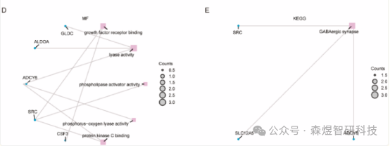 Comprehensive Analysis of OSCSRDEGs in TNBC