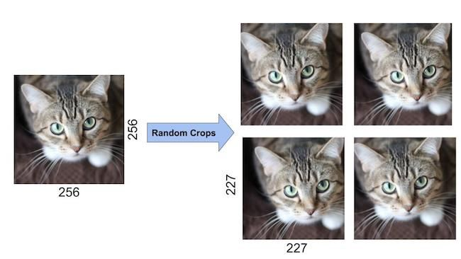 Understanding AlexNet: A Deep Dive into CNN Architecture