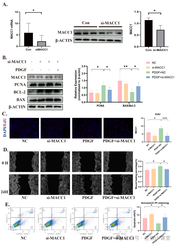 Key Gene Screening and Validation in Non-Tumor Bioinformatics