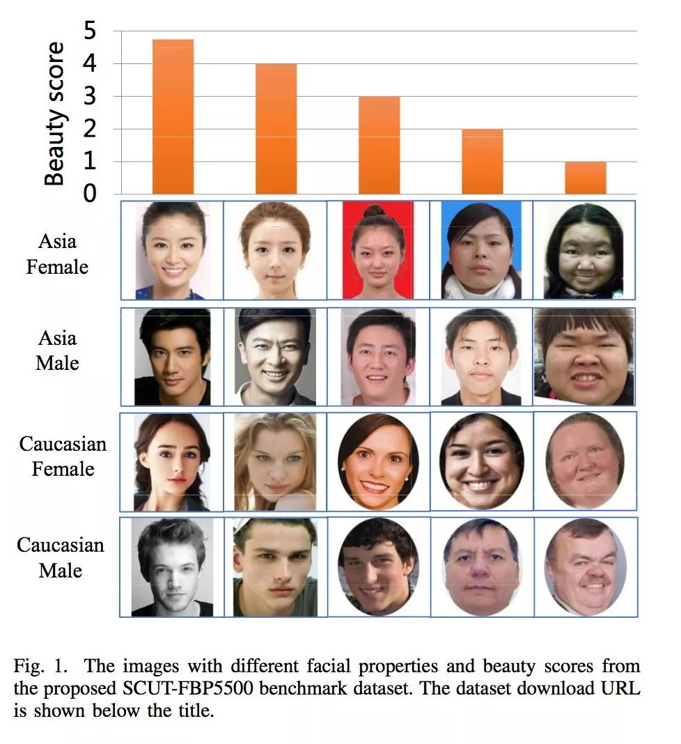 Introduction to Computer Vision: Facial Beauty Scoring