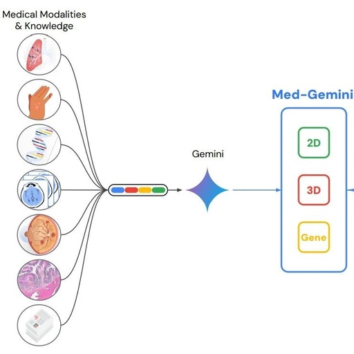 Gemini Multimodal Medical Capabilities