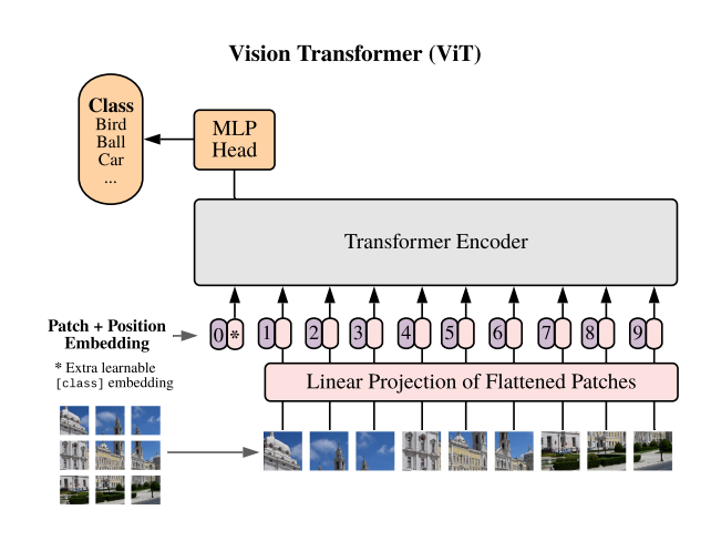 Practical Guide to Object Detection Using Vision Transformer