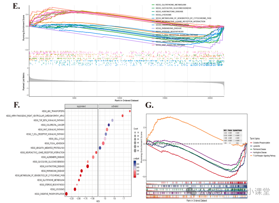 Key Gene Screening and Validation in Non-Tumor Bioinformatics