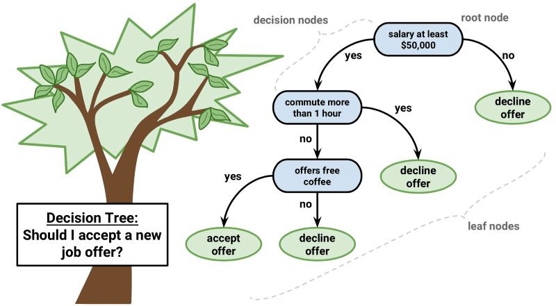 10 Essential Algorithms in Machine Learning