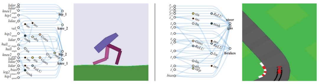 Weight Agnostic Neural Networks: A Revolutionary Approach