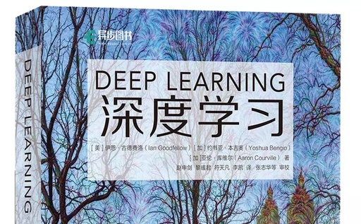 The History of Deep Learning