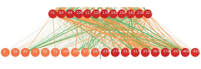 Understanding Neurons in LSTM Networks from Task to Visualization