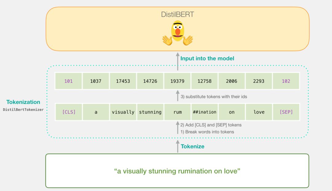 BERT Model: A Quick Start Guide