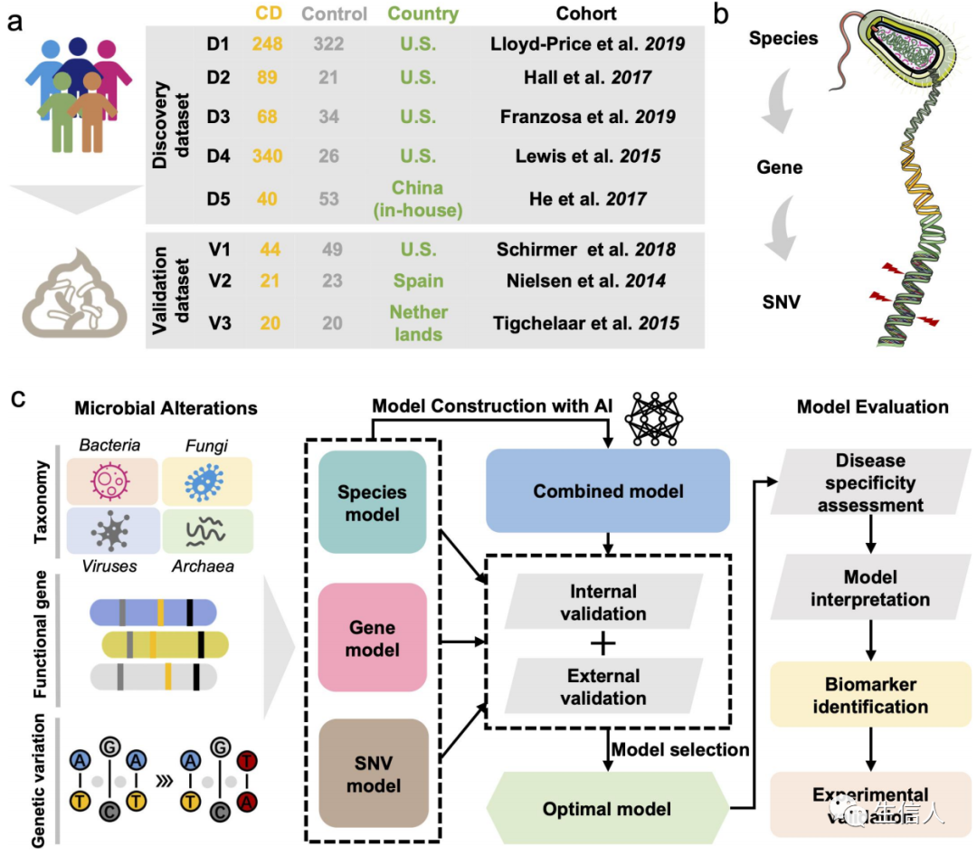 Exploring New Pathways Between Gut Microbiota and Disease: Machine Learning Applications