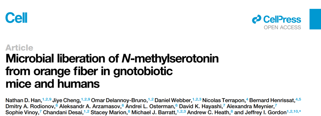 Gut Microbiota's Role in Releasing N-Methylserotonin from Dietary Fiber