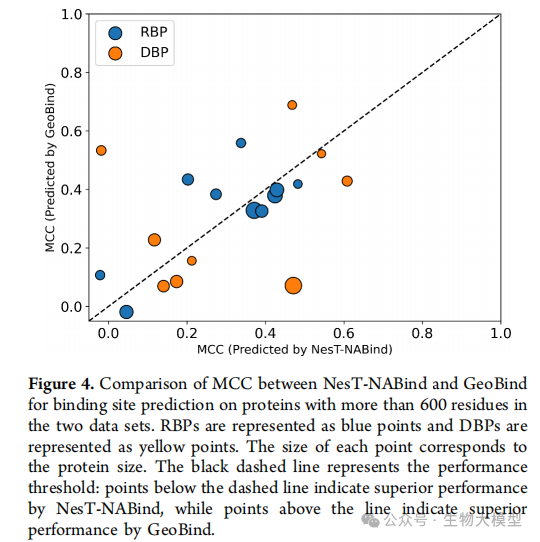 Innovative Application of Nested Transformer Model in Protein-Nucleic Acid Binding Site Prediction