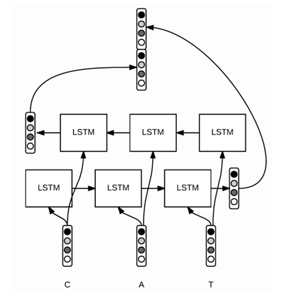 Application of Bi-LSTM + CRF in Text Sequence Labeling