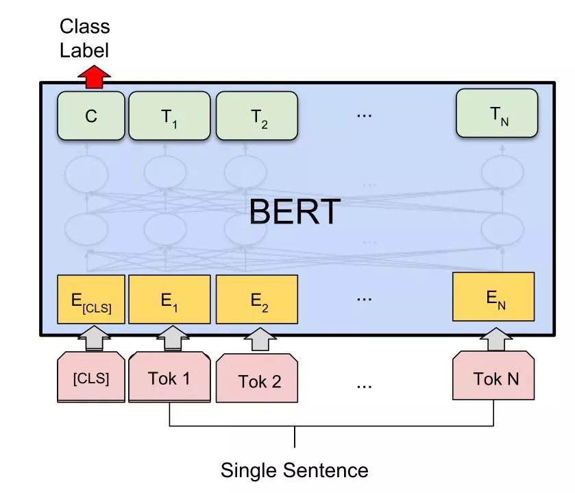 The Art of Fine-Tuning BERT