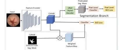 Applications of Image Recognition in Healthcare