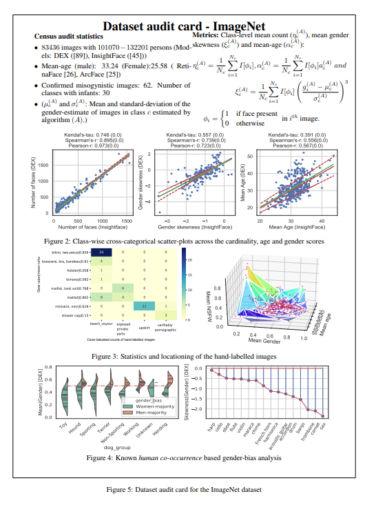 The Pyrrhic Victory of Computer Vision: Reflections on Large Image Datasets