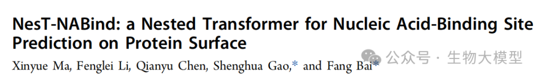 Innovative Application of Nested Transformer Model in Protein-Nucleic Acid Binding Site Prediction