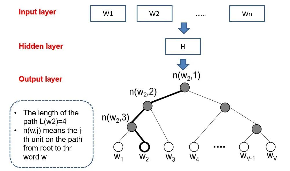 In-Depth Analysis of Word2Vec Model