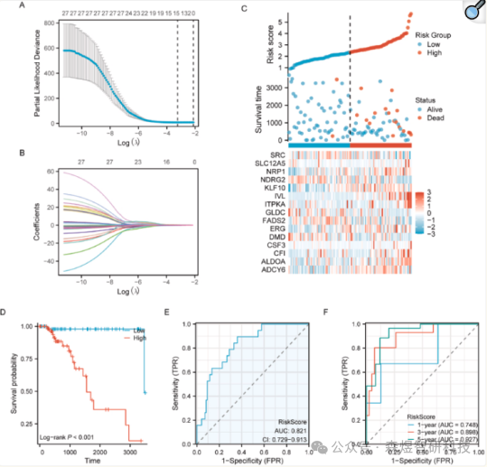 Comprehensive Analysis of OSCSRDEGs in TNBC