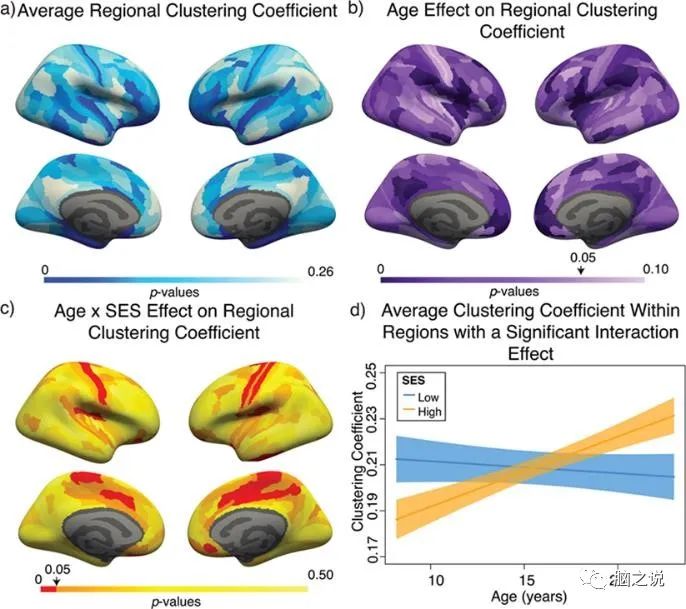 Cerebral Cortex: The Relationship Between Brain Development and Environment