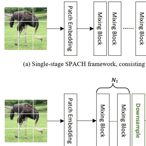 The Battle of Three Neural Network Structures: CNN, Transformer, and MLP