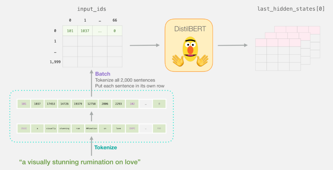 Step-By-Step Guide to Sentence Classification Using BERT