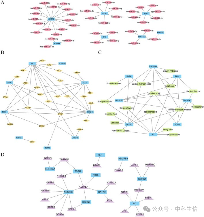 Integrating Bioinformatics and Machine Learning to Unveil Lactate Metabolism and Rheumatoid Arthritis Connection