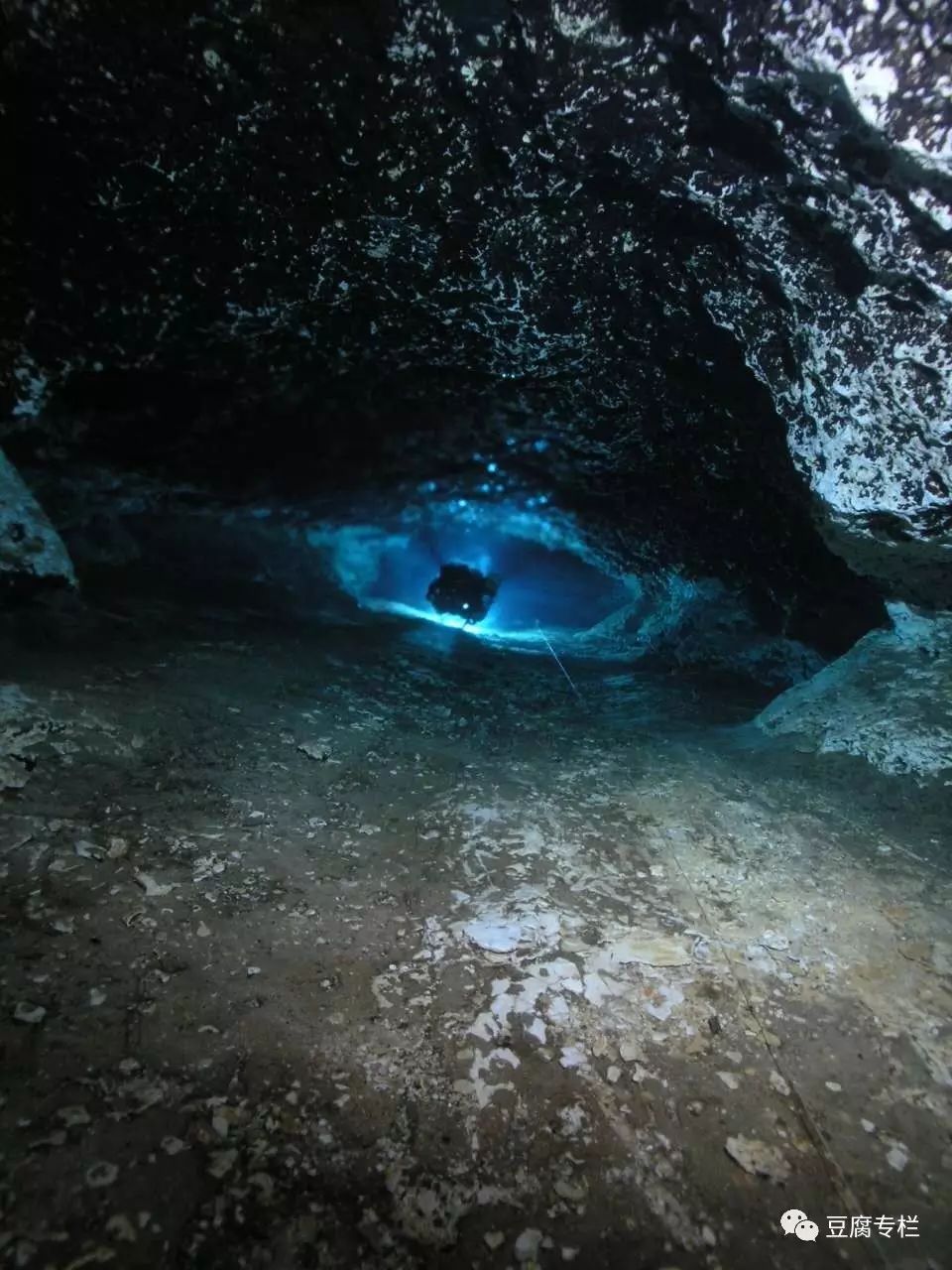 Diving with the Explorer: A Cave Diving Journey in Mexico