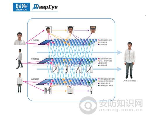 Evaluation of Sino-German Hongtai Deep Neural Network Algorithm - Deep Vision Portrait Recognition System