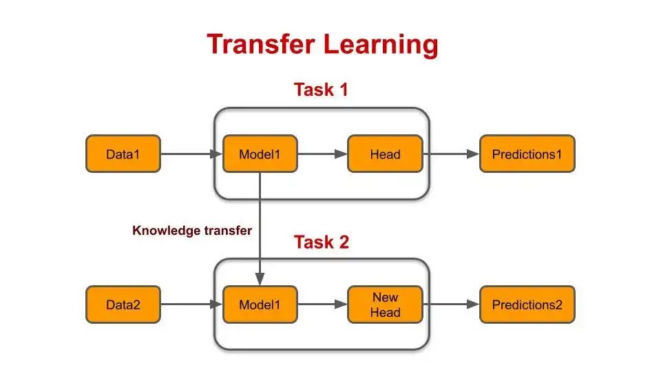 Understanding Fine-Tuning of Neural Network Models