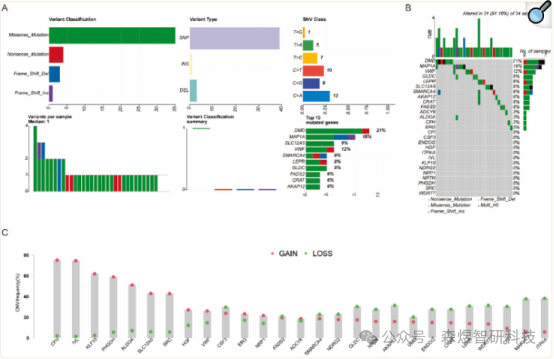 Comprehensive Analysis of OSCSRDEGs in TNBC